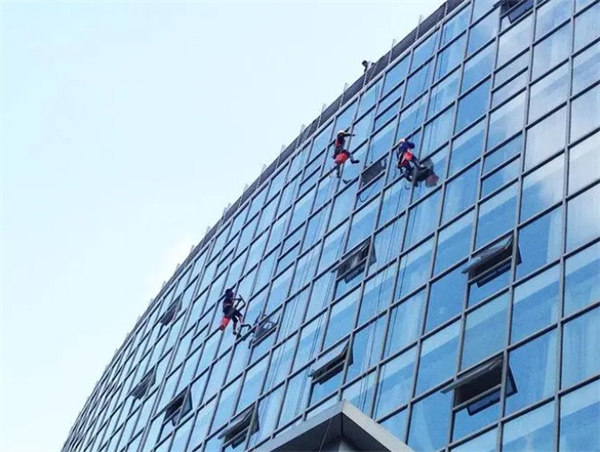案例展示